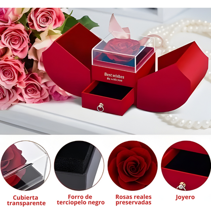 LuxeRose - Caja de Regalo de Rosa Preservada