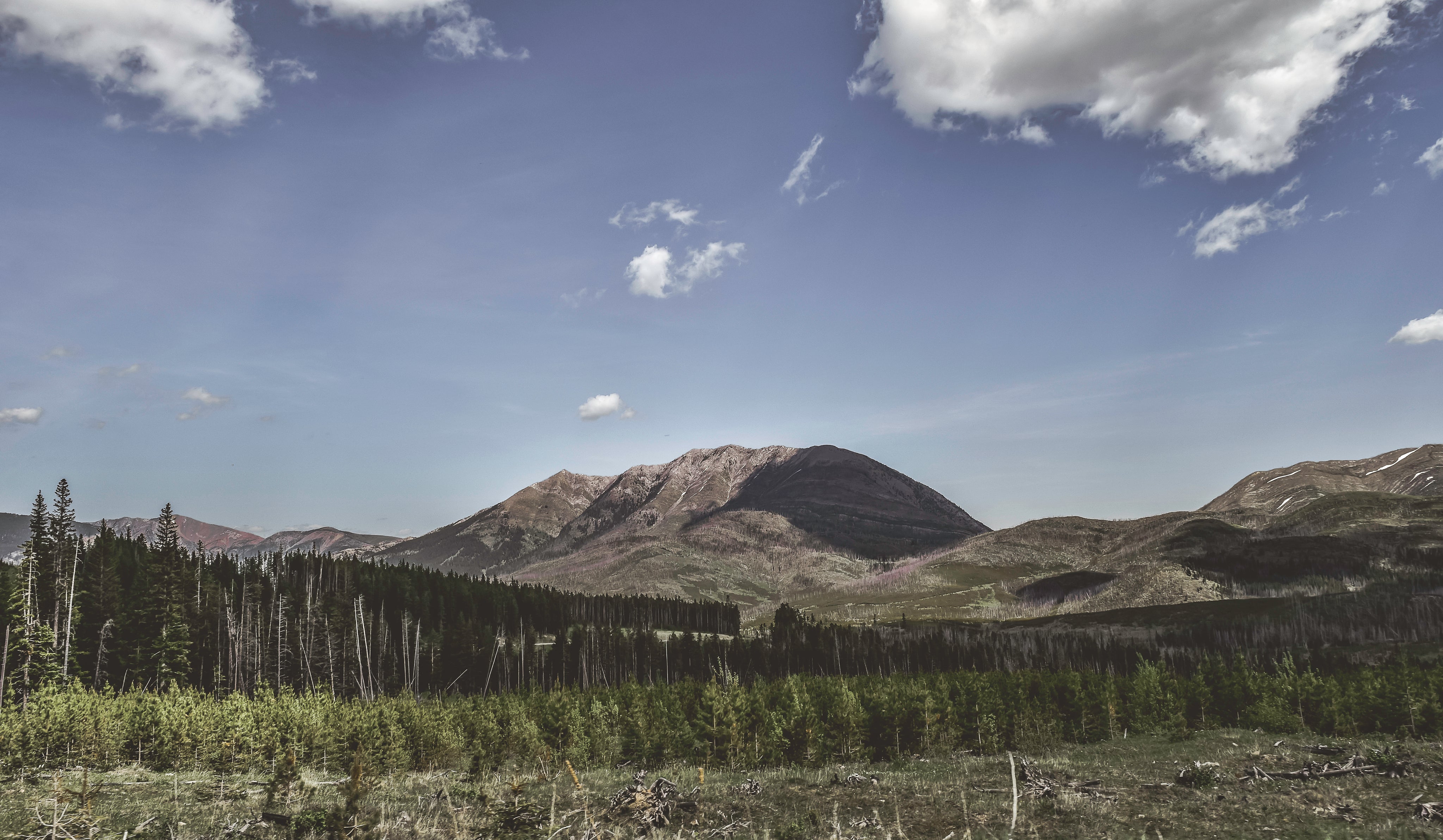 files/treeline-below-mountain-and-blue-sky.jpg